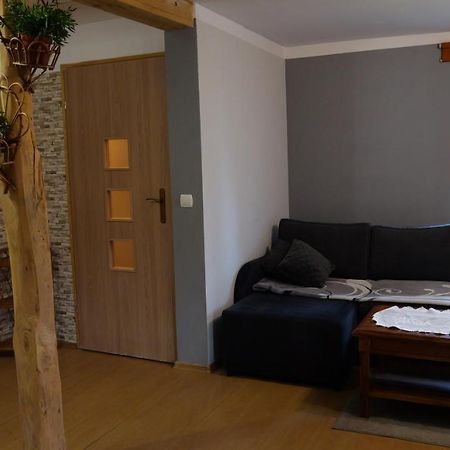 Apartamenty Lucky-Ski Устшики-Дольне Экстерьер фото