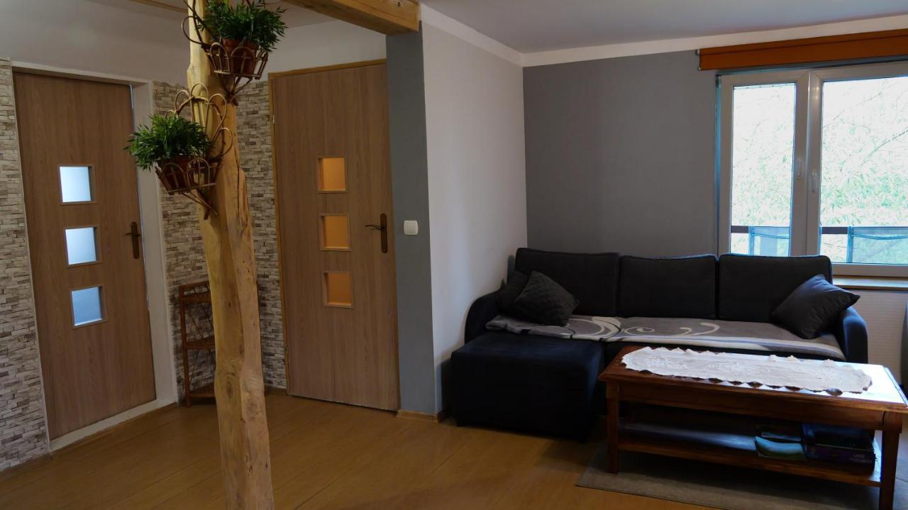 Apartamenty Lucky-Ski Устшики-Дольне Экстерьер фото